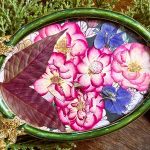 Floral Home Decor – Preserved Flowers Art in Beautiful Frames, Unique Gift for Gardeners and Nature Lovers